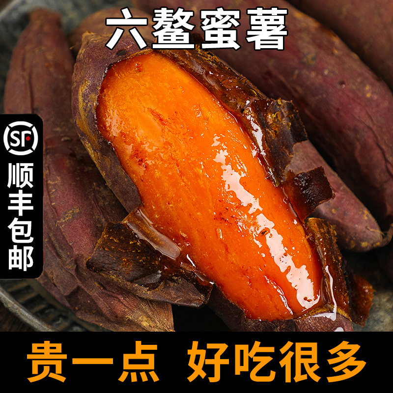 福建六鳌红薯番薯蜜薯