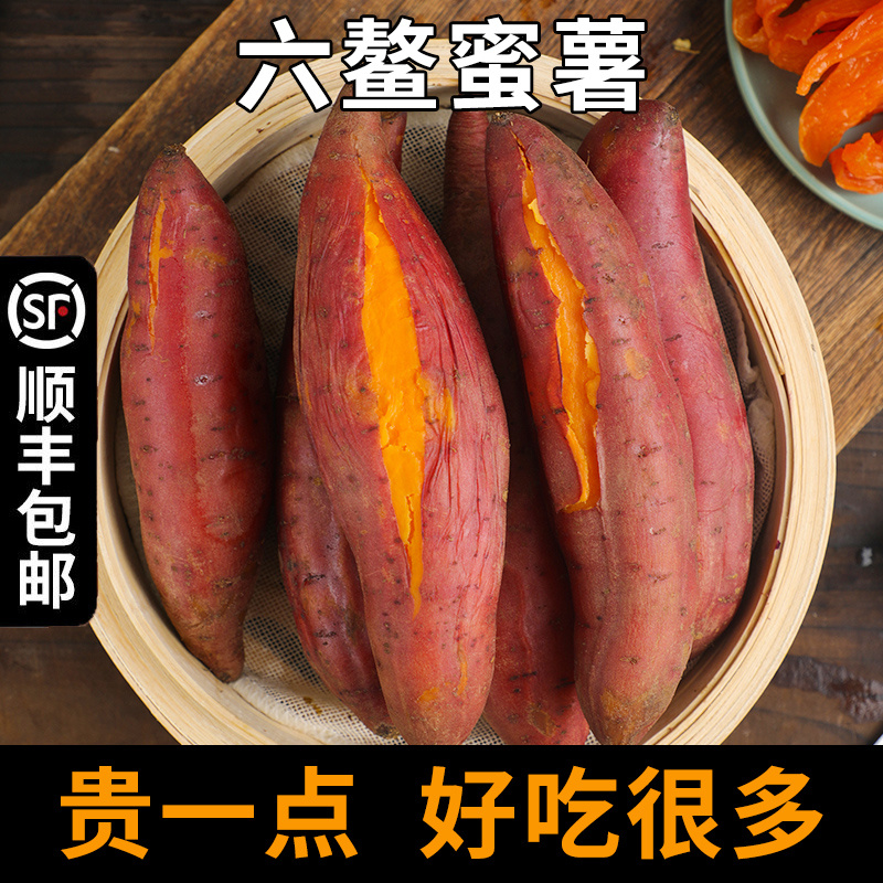 福建六鳌红薯番薯蜜薯