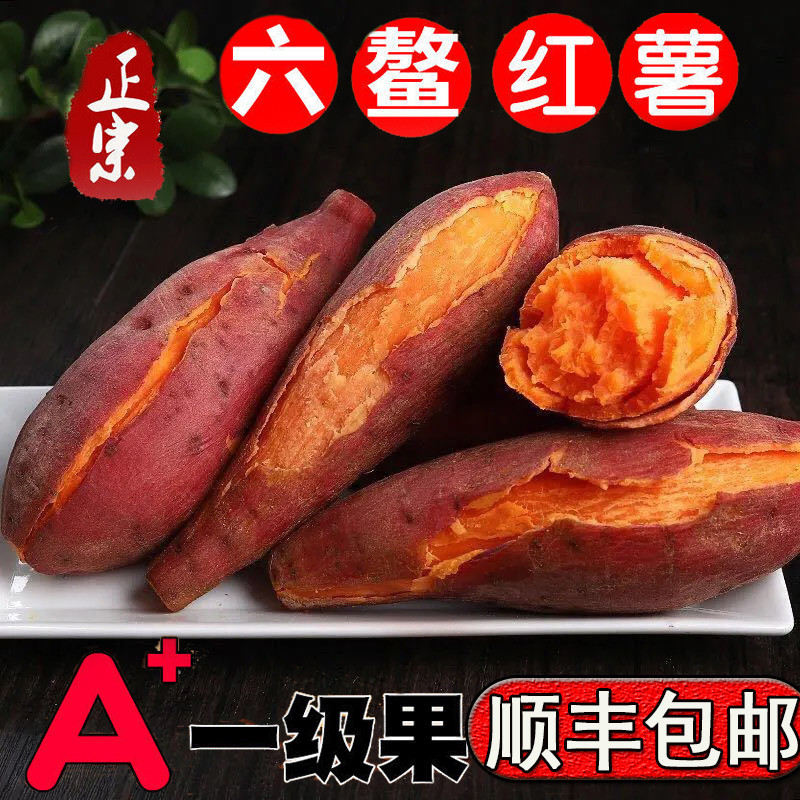 福建六鳌红薯番薯蜜薯