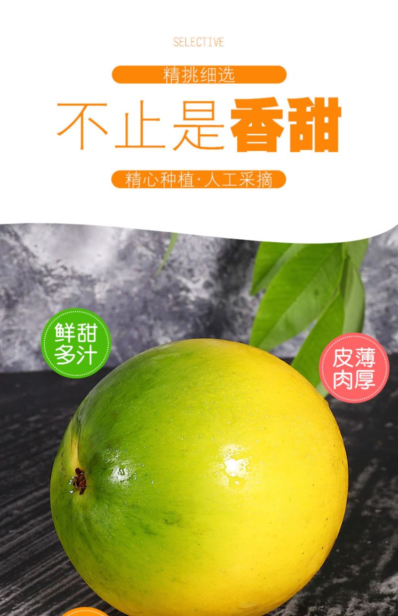 新鲜黄晶果5斤代发现摘蛋黄果冬蜜黄金果顺丰包邮