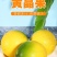 新鲜黄晶果5斤代发现摘蛋黄果冬蜜黄金果顺丰包邮
