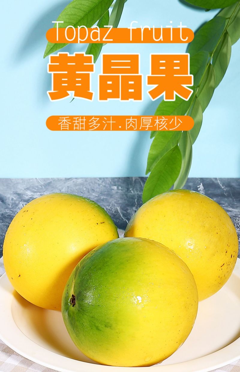 新鲜黄晶果5斤代发现摘蛋黄果冬蜜黄金果顺丰包邮