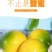 新鲜黄晶果5斤代发现摘蛋黄果冬蜜黄金果顺丰包邮