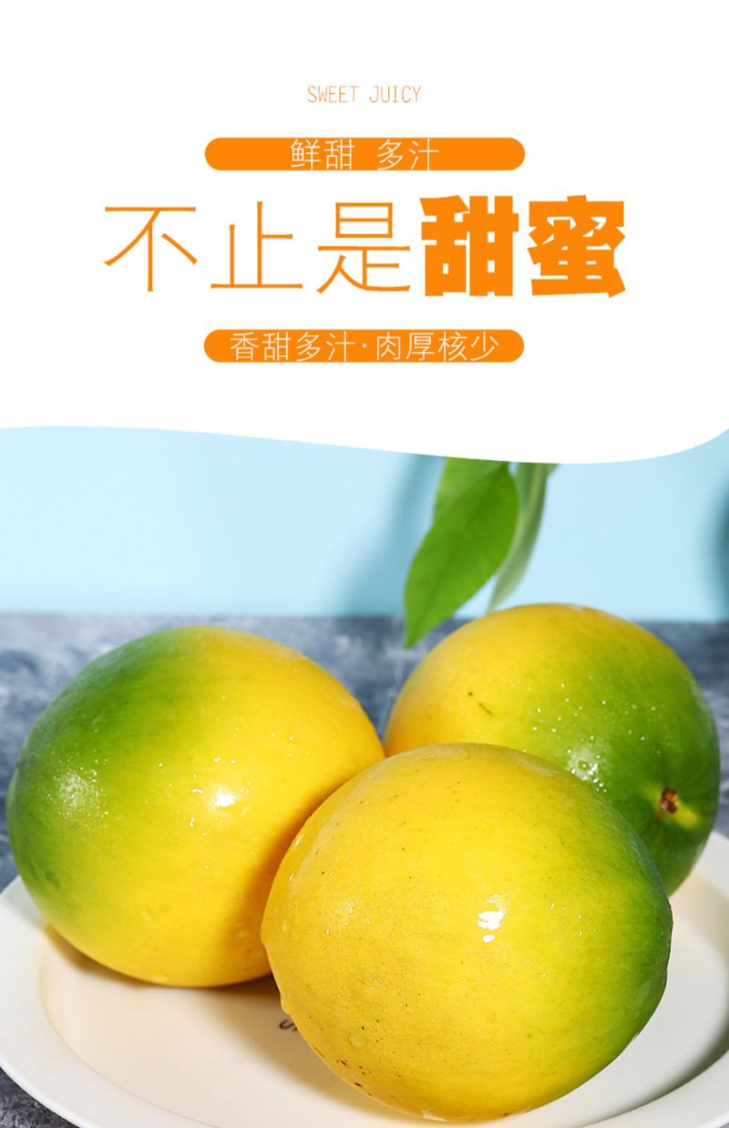 新鲜黄晶果5斤代发现摘蛋黄果冬蜜黄金果顺丰包邮
