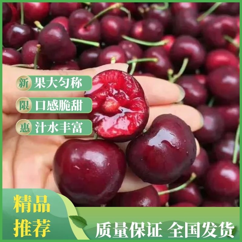 【现货】车厘子新鲜国产车厘大樱桃商超对接一件代发，3斤装
