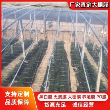大棚膜高品质5+2水晶po膜1−22米宽规格齐全可定制