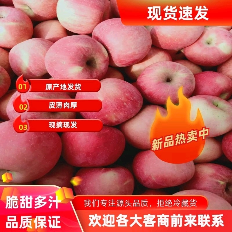 山东正宗红富士价格便宜脆甜多汁原产地发货欢迎老板前来看货