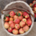 美八苹果山东苹果大量供应产地直发一手货源欢迎考察