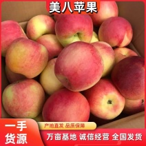 美八苹果山东苹果大量供应产地直发一手货源欢迎考察