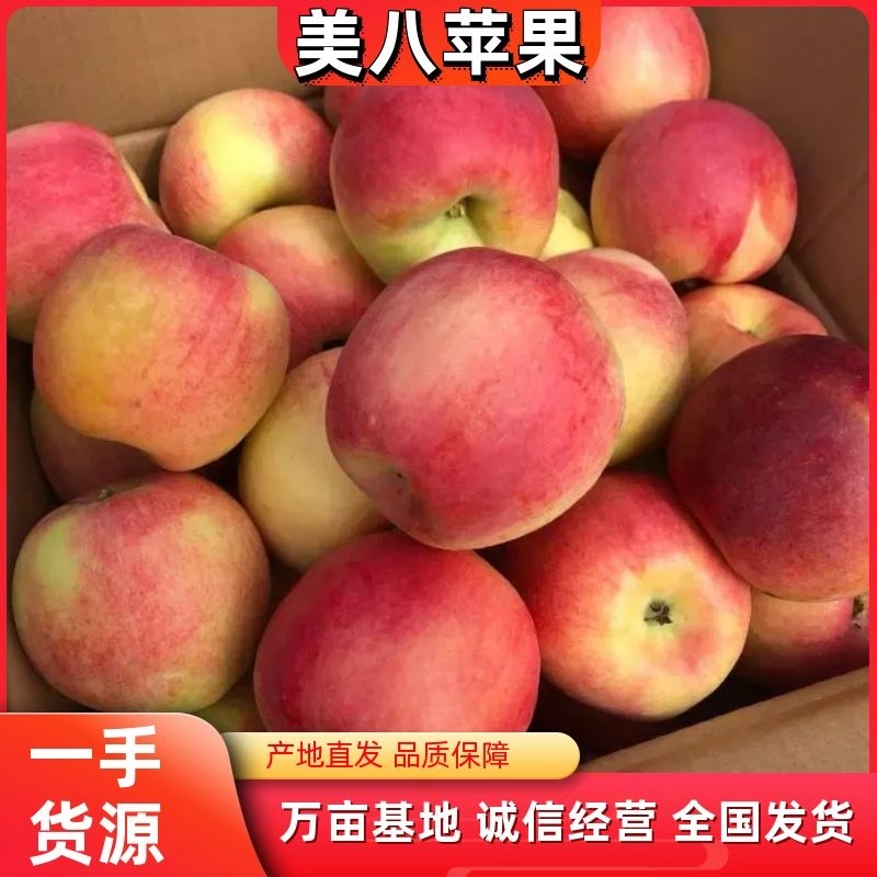 美八苹果山东苹果大量供应产地直发一手货源欢迎考察