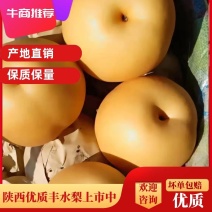 （热销中）陕西汉中丰水梨，14个糖，脆甜多汁无查：现货