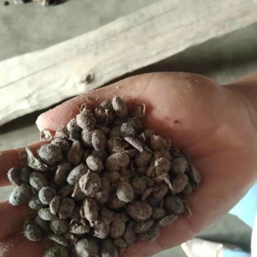 发酵大豆土壤改良肥料有机肥熟化发酵大豆