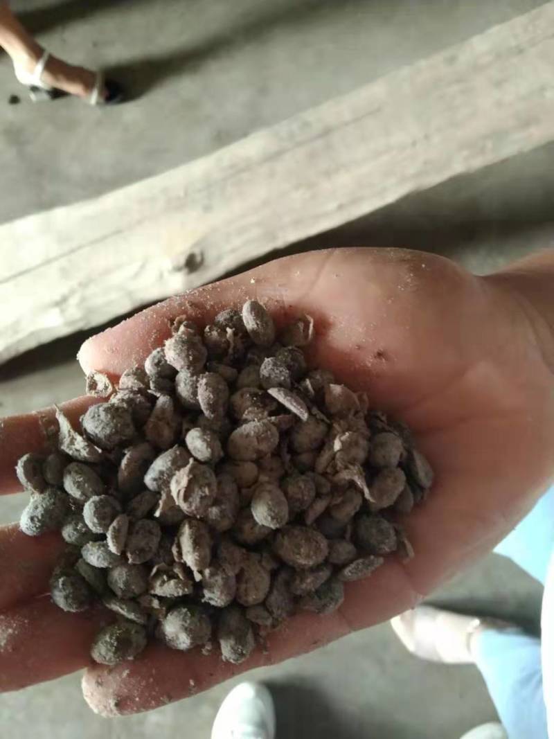发酵大豆土壤改良肥料有机肥熟化发酵大豆