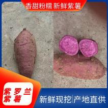 【好货】万亩紫薯，正宗紫罗兰，产地直发，可对接市场档口