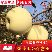 【奶油富士】沂蒙山苹果，产地直供，代办批发零售，一件
