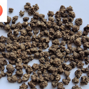 猫爪草猫抓草选货保证含量产地河南省品种齐全