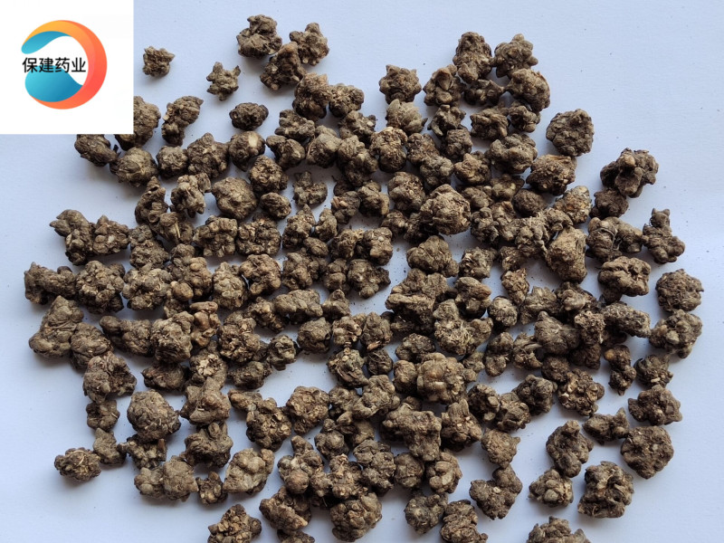 猫爪草猫抓草选货保证含量产地河南省品种齐全