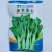 红菜苔种子白菜苔种子红油菜心种子四季易种高产蔬菜种子