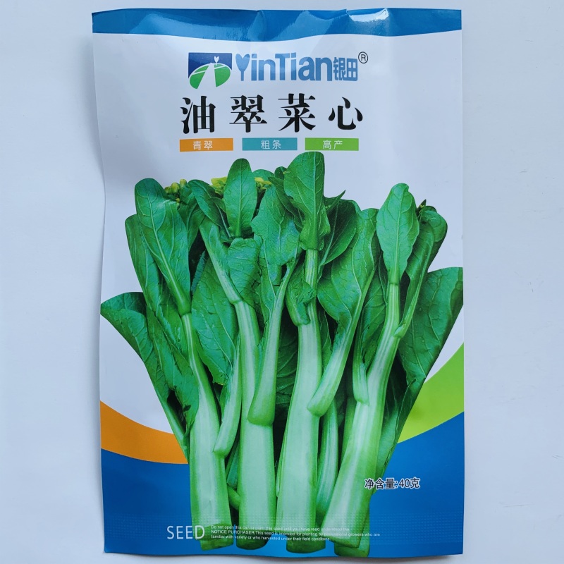红菜苔种子白菜苔种子红油菜心种子四季易种高产蔬菜种子