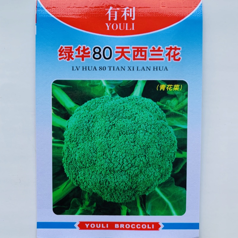耐寒优秀西兰花种子青花菜种子商品性好花椰菜蔬菜大田用种