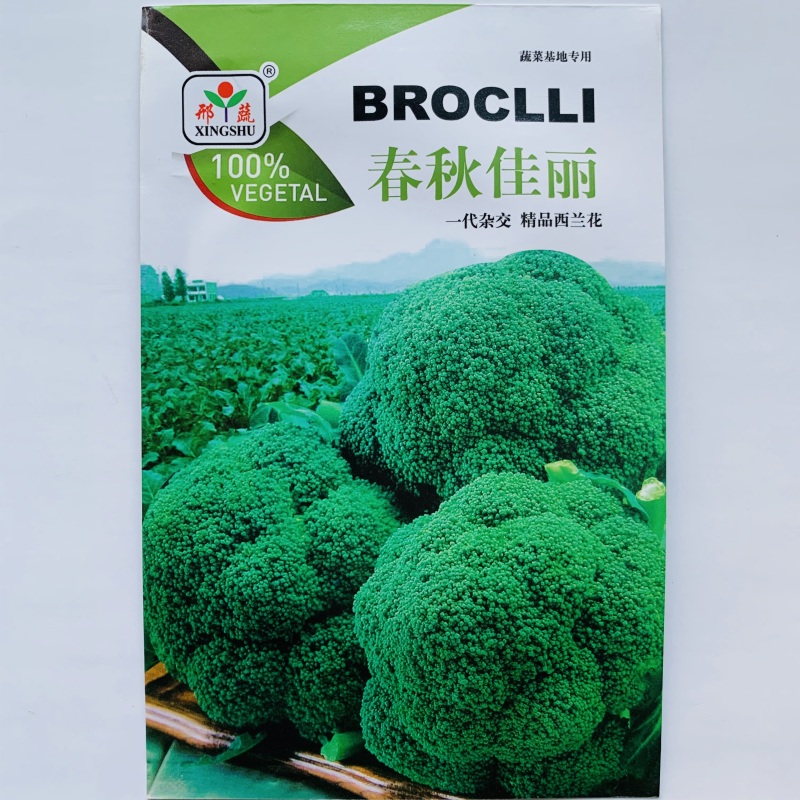 耐寒优秀西兰花种子青花菜种子商品性好花椰菜蔬菜大田用种