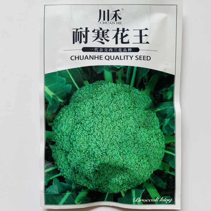 耐寒优秀西兰花种子青花菜种子商品性好花椰菜蔬菜大田用种