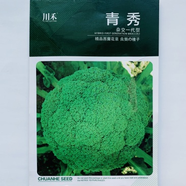 耐寒优秀西兰花种子青花菜种子商品性好花椰菜蔬菜大田用种