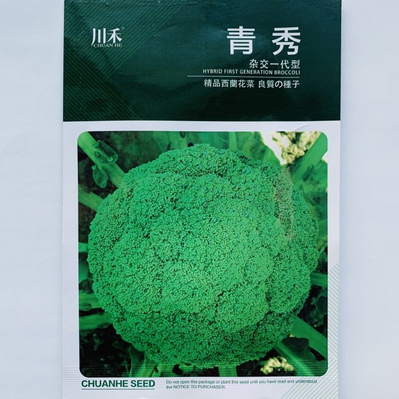 耐寒优秀西兰花种子青花菜种子商品性好花椰菜蔬菜大田用种