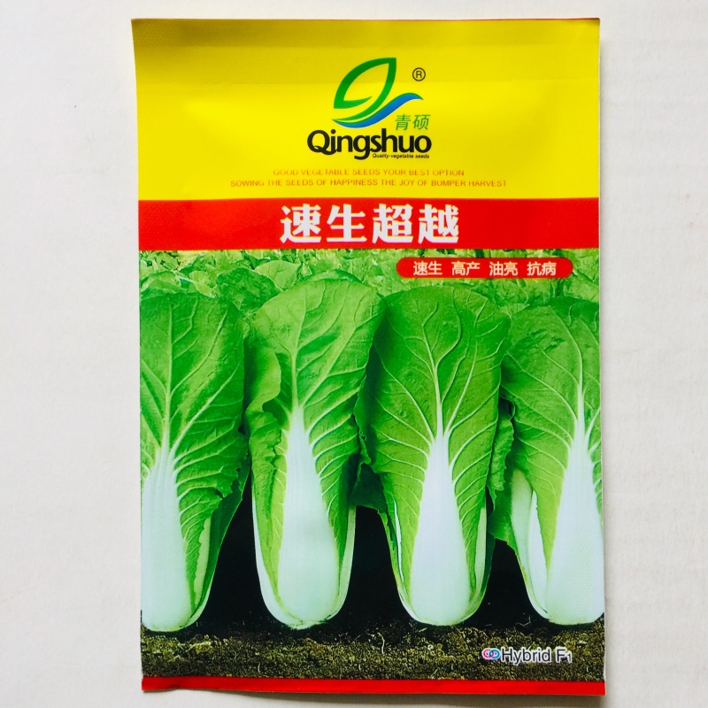 快菜种子奶油快菜四季小白菜种籽苗春季夏秋冬季青蔬菜菜种孑