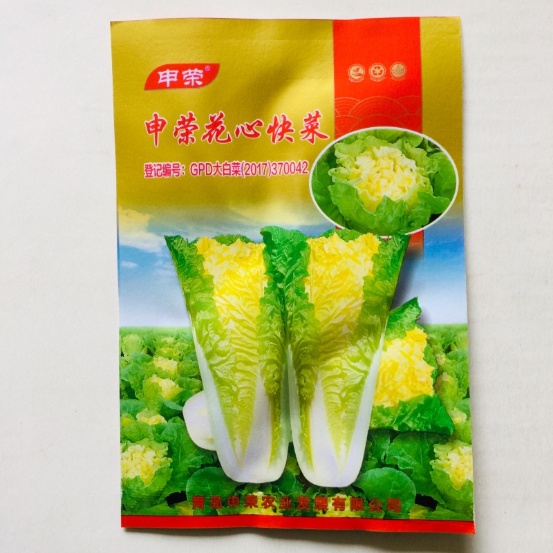 快菜种子奶油快菜四季小白菜种籽苗春季夏秋冬季青蔬菜菜种孑