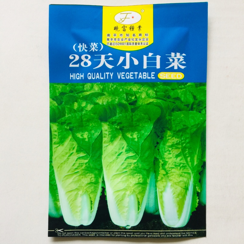 快菜种子奶油快菜四季小白菜种籽苗春季夏秋冬季青蔬菜菜种孑