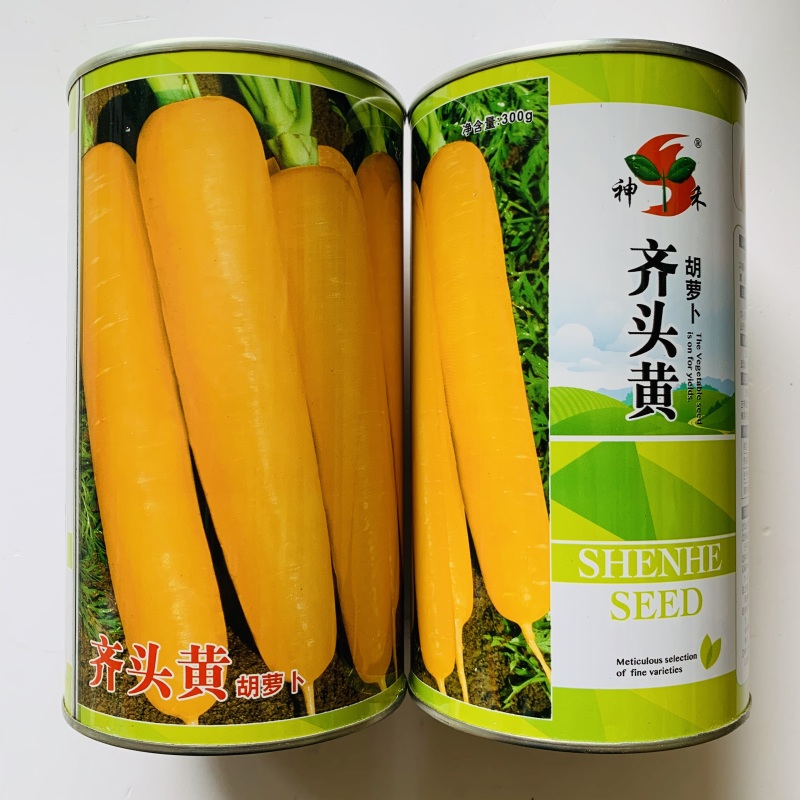 三红七寸胡萝卜齐头黄胡萝卜种子大田用种商品性好产量高