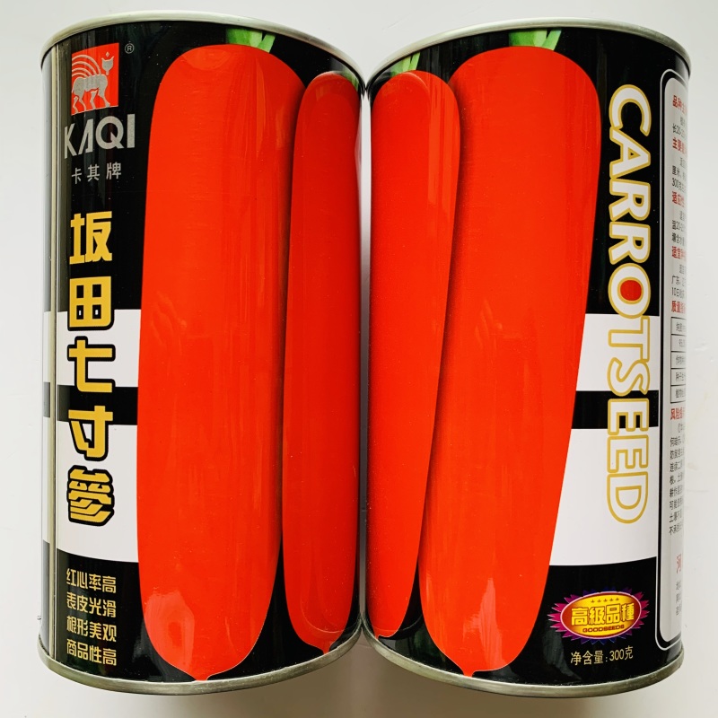 三红七寸胡萝卜齐头黄胡萝卜种子大田用种商品性好产量高