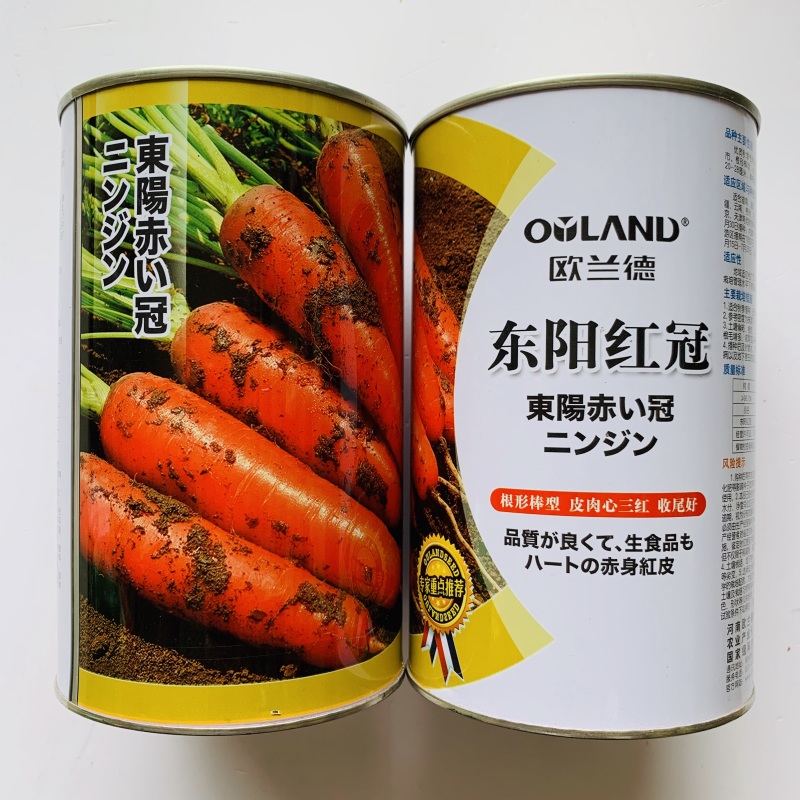 三红七寸胡萝卜齐头黄胡萝卜种子大田用种商品性好产量高