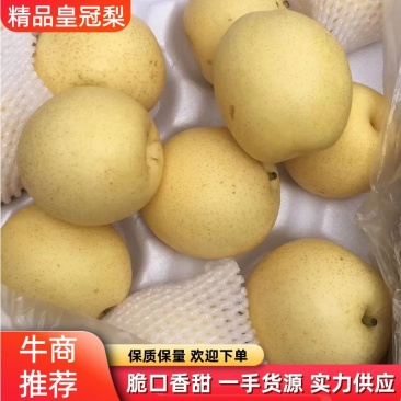 精品梨河北赵县皇冠梨冷库直发货源充足规格齐全