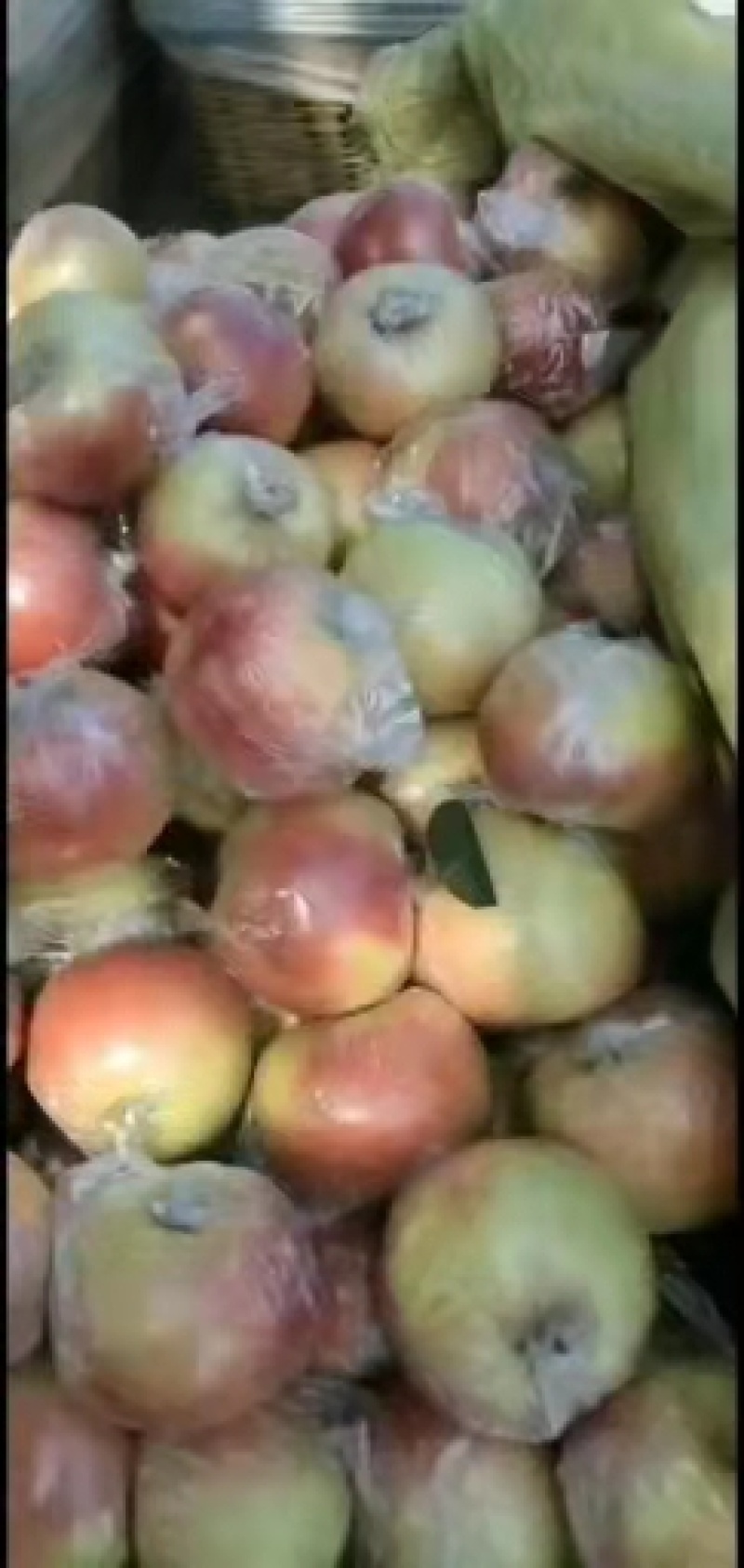 嘎啦苹果膜袋产地坏单包赔全国发货