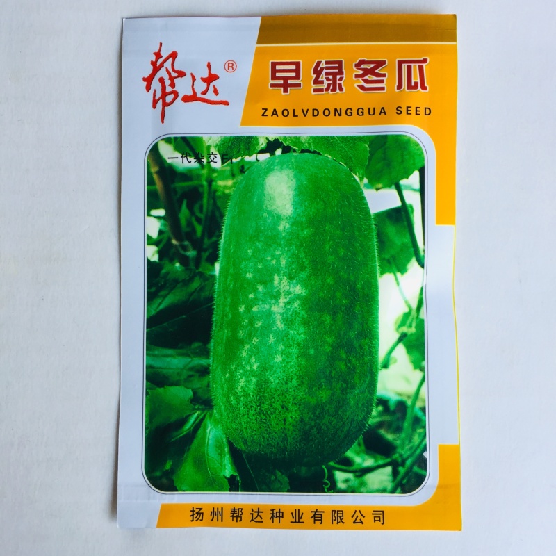 早熟冬瓜种子台湾小冬瓜种子广东黑皮大冬瓜种子高产蔬菜种子