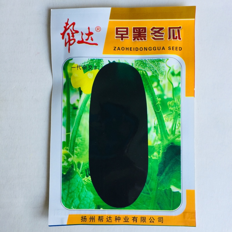 早熟冬瓜种子台湾小冬瓜种子广东黑皮大冬瓜种子高产蔬菜种子