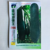 黑皮冬瓜种子粉皮冬瓜种子水果型冬瓜种子丰产商品性好