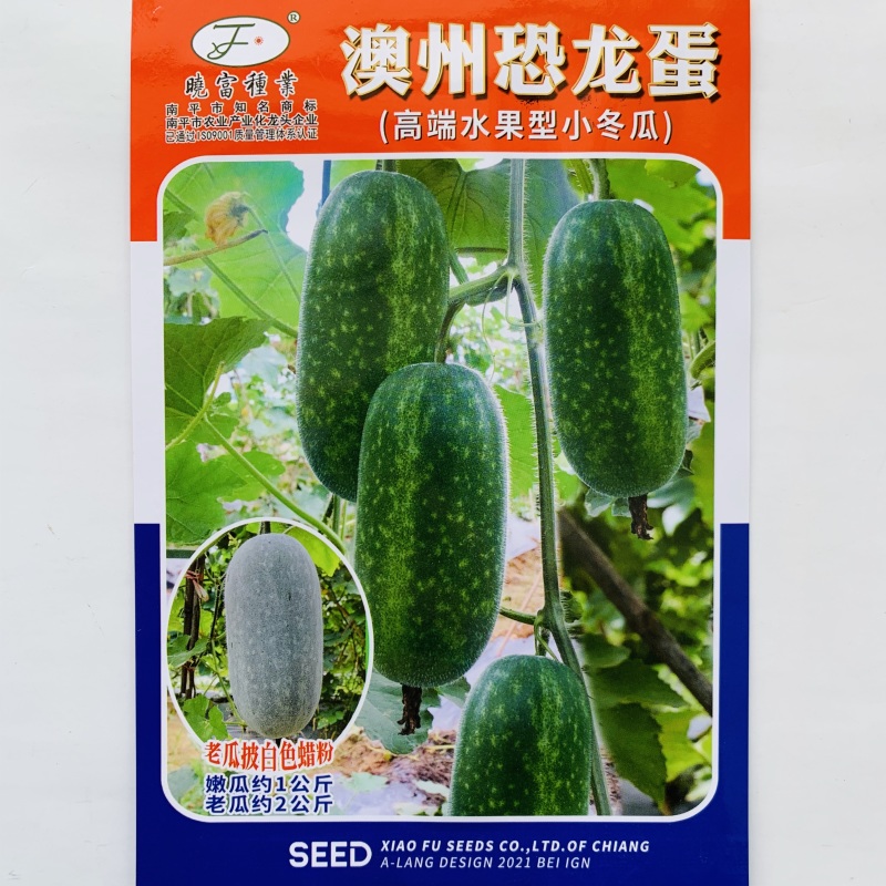 黑皮冬瓜种子粉皮冬瓜种子水果型冬瓜种子丰产商品性好