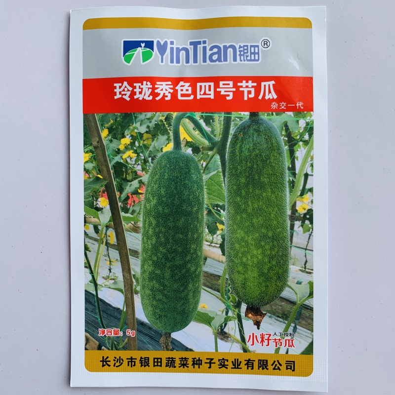 黑皮冬瓜种子粉皮冬瓜种子水果型冬瓜种子丰产商品性好