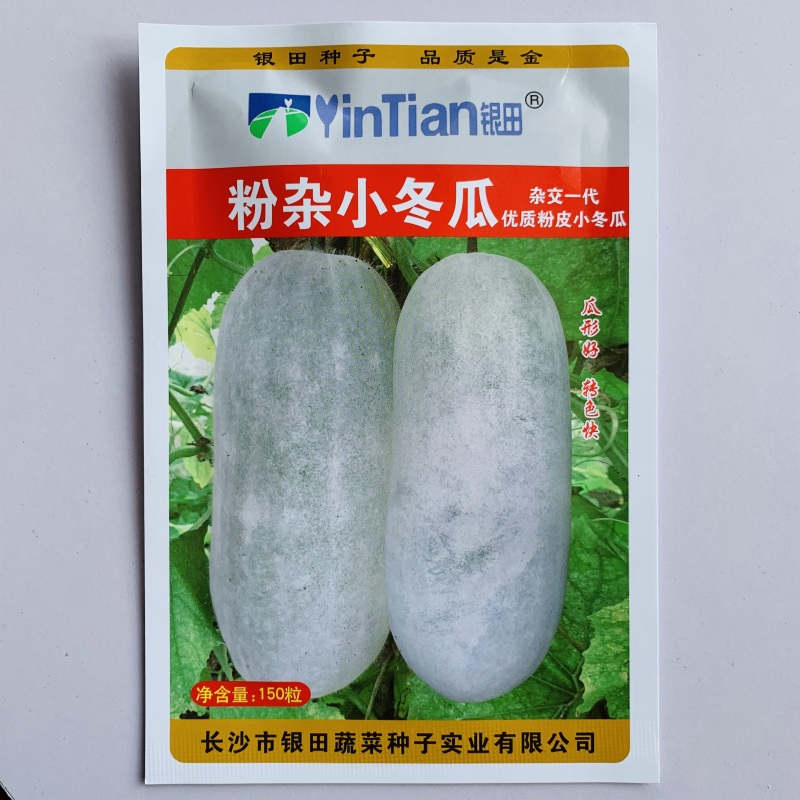 黑皮冬瓜种子粉皮冬瓜种子水果型冬瓜种子丰产商品性好