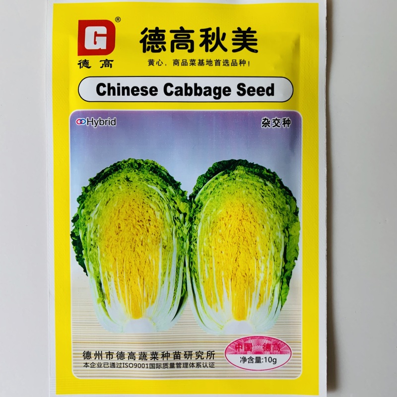 秋季大白菜种子黄心白菜种子抗病高产商品性好耐储存