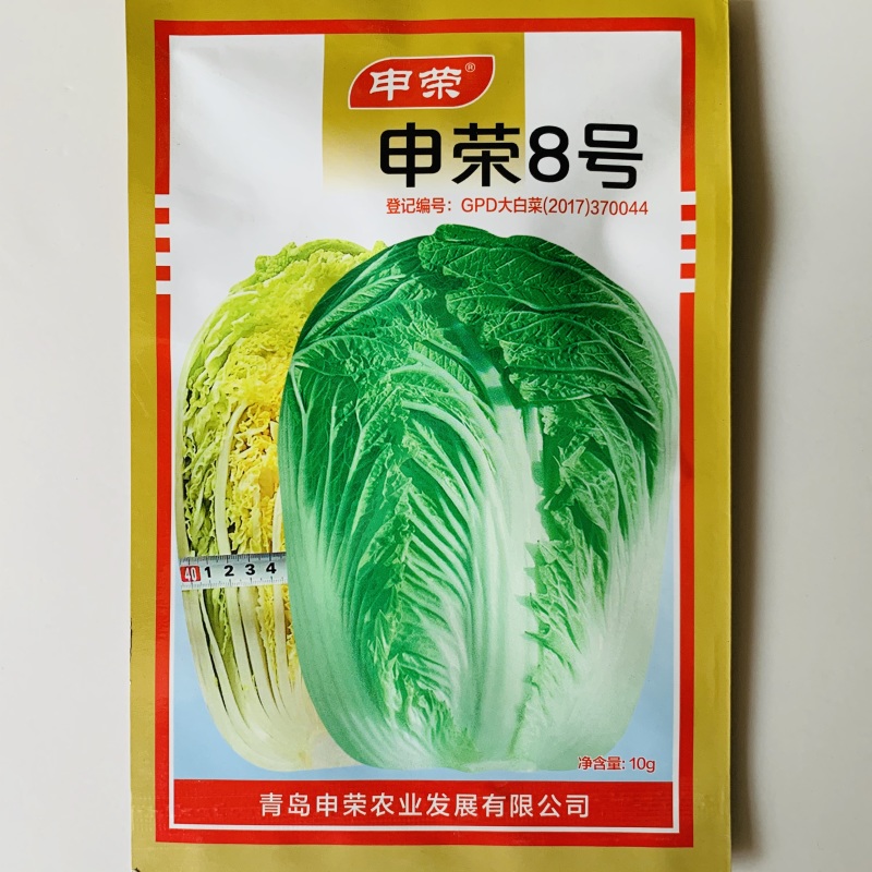 秋季大白菜种子黄心白菜种子抗病高产商品性好耐储存
