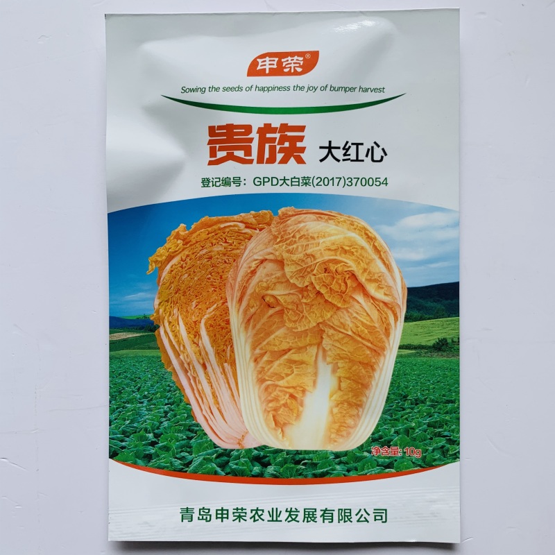 秋季大白菜种子黄心白菜种子抗病高产商品性好耐储存