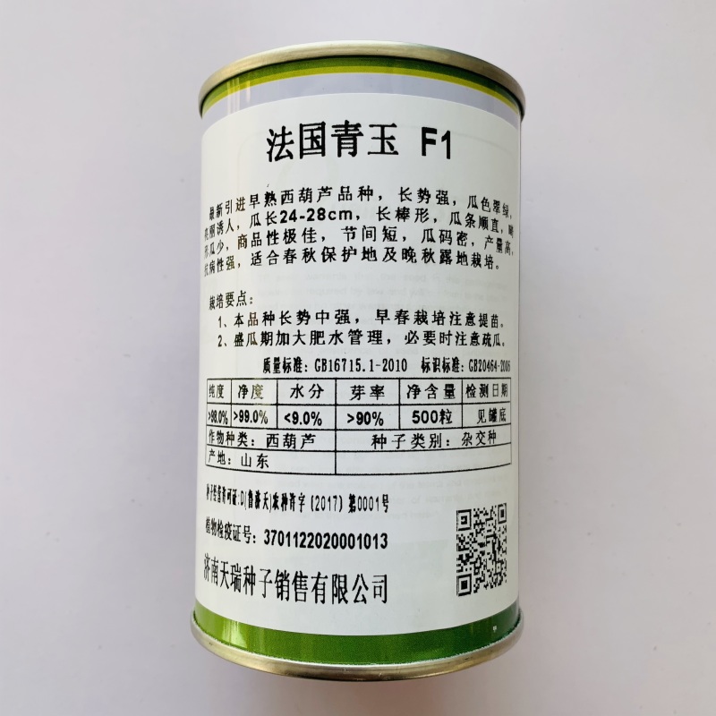 绿皮西葫芦种子杂交种耐寒抗病性好春秋种植产量高商品性好