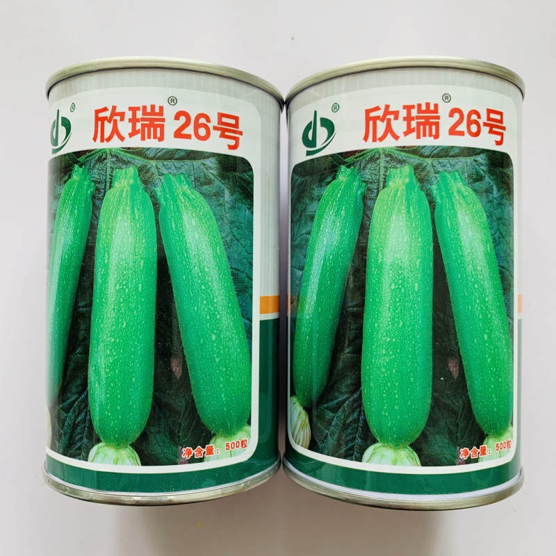 绿皮西葫芦种子杂交种耐寒抗病性好春秋种植产量高商品性好