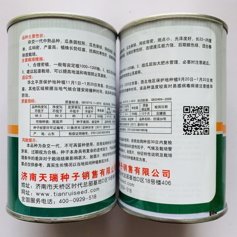 绿皮西葫芦种子杂交种耐寒抗病性好春秋种植产量高商品性好