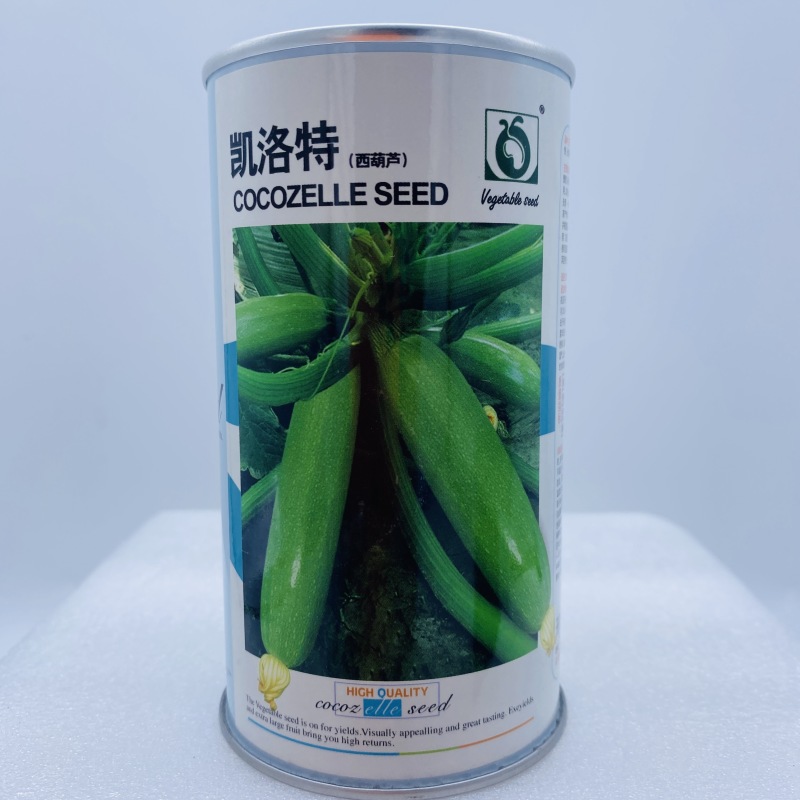 西葫芦种子耐寒抗病瓜条顺直翠绿色连续做瓜能力强商品性好