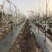 单张1.5米宽防草布厚90克防草地布厂家园艺地布
